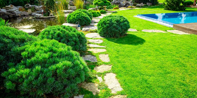 Backyard with outdoor inground residential swimming pool, garden, deck and stone patio